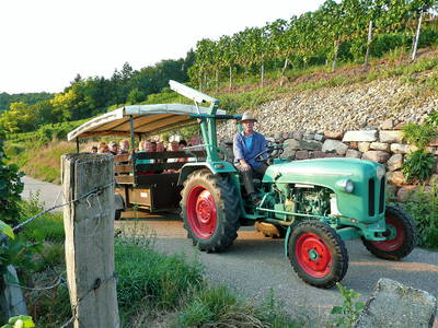 Bild 8 aus  Winzerhof + Gästehaus Schätzle