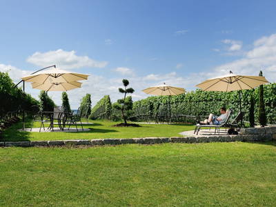 Liegewiese im Weinberg