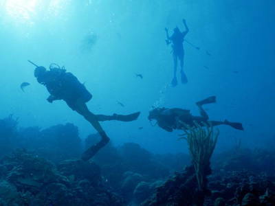 Bild 7 aus  Ferien in der Bretagne am Meer