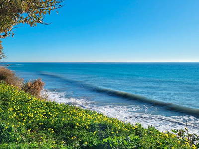 Bild 6 aus  Oliva Azzurra Appartamento