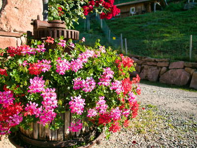 Bild 16 aus  Hansenhof