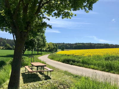 Allee unweit vom Hof