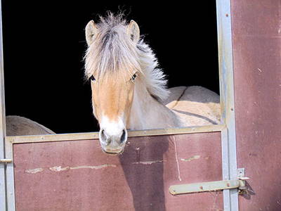 Bild 7 aus  Lautersheimer Gutshof