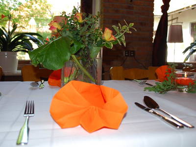 Bild 28 aus  Landhotel-Ferienhof Schneider