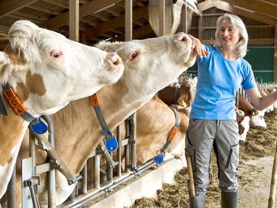 Bild 27 aus  Hollweck's Landoase