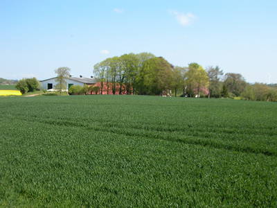 Bild 22 aus  Baustrup Hof