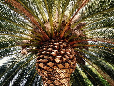 Bild 17 aus  Casa Nova