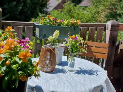 Bild 36 aus  Urlaub unterm Reet