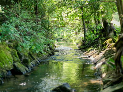 Bild 11 aus  Hellbachhof