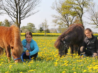 Bild 43 aus  Erlebnis-Bauernhof Kliewe auf der Insel Rügen