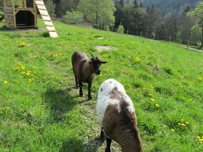 Bild 7 aus  Hof Dödesberg