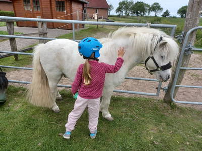 Bild 38 aus  Ferienhof Nordorfer Grashaus