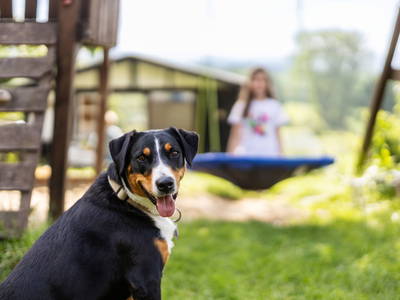 Bild 30 aus  Hof Keppel, der stromlose Urlaub