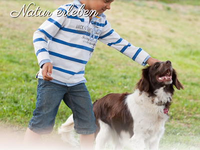 Bild 19 aus  Weidacherhof