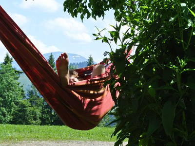 Bild 3 aus  Biohof Bilger