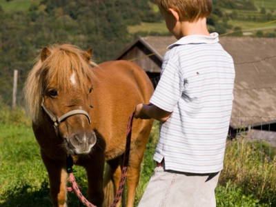 Bild 7 aus  Gostnerhof