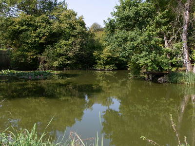 Bild 17 aus  Ferienhof  Schmidtner