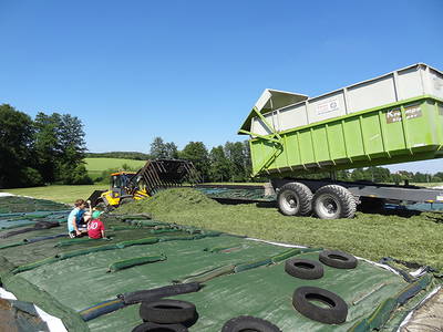 Bild 17 aus  Steigerwaldhof Krafft