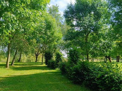 Bild 14 aus  Coproyshof am See