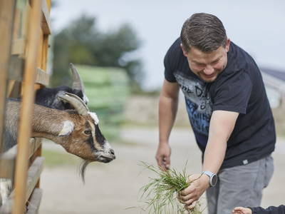 Fütterung der Ziegen