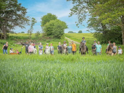 Bild 48 aus  LINDENHOF- BAUERNHOFURLAUB / OSTSEENÄHE