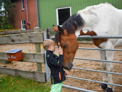 Bild 7 aus  Ferienhof  Nina Weilandt