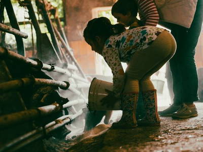 Bild 10 aus  BiolandHof Röttenbacher