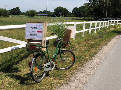 Bild 7 aus  Hof Buddenkotte