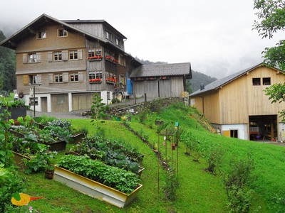 Bild 12 aus  Bauernhof Farnach