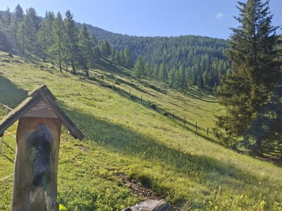 Bild 30 aus  Ledererhütte