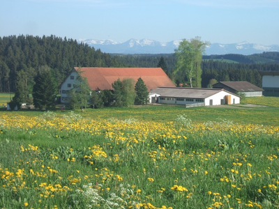 Bild 6 aus  Ferienhof Allgäumoos