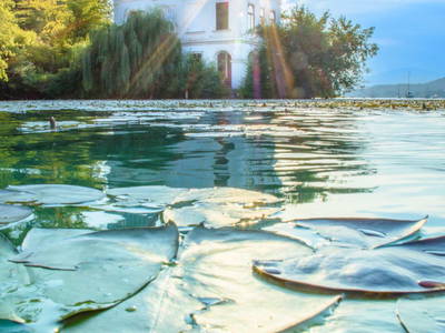 Bild 147 aus  Landhaus Sofie