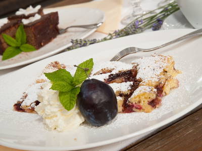 Bild 24 aus  Lichteben