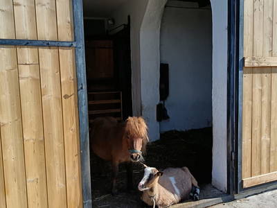 Bild 11 aus  Natur Erlebnishof Aumayr