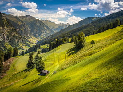 Bild 83 aus  Neuhaus