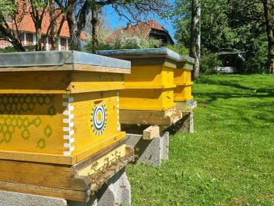 Bild 66 aus  Urlaub am Haberlehof