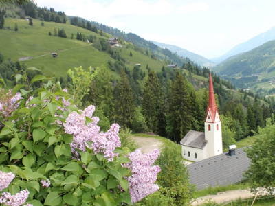 Bild 3 aus  Untererschbaum