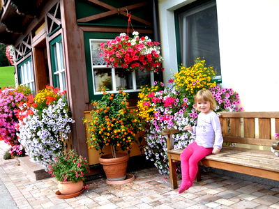 Bild 4 aus Bio Bauernhof - Haim - Schnepfleitner