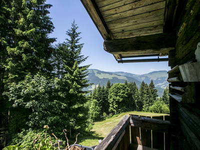 Bild 51 aus  Almhütte Kohlenau