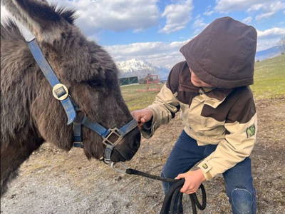 Bild 15 aus  Hirzhof