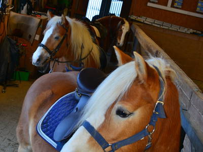 Bild 14 aus  Ferienwohnung Wenzl