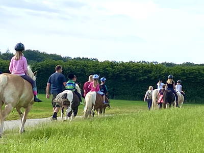 Bild 42 aus  Ferienhof Messer  Bauernhofurlaub  Ostseenähe  Ponys