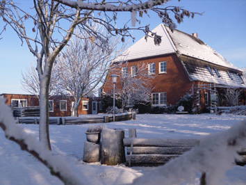 Bild 20 aus  Kantorhof