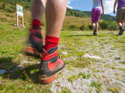 Bild 82 aus  Pension Glitschnerhof