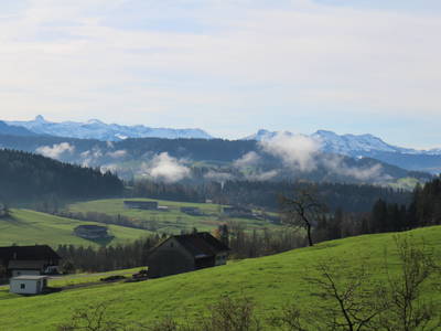 Bild 25 aus  AuszeitHof Vögel