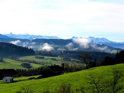 Bild 14 aus AuszeitHof Vögel