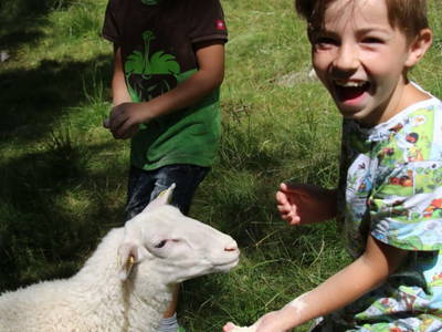 Bild 4 aus  Ferienwohnung Steinacher