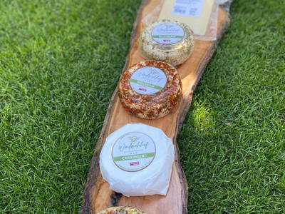 Bild 36 aus  Oranhof