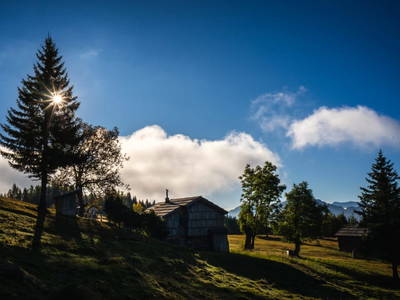 Bild 51 aus  Almhütte Bodner-Kammer