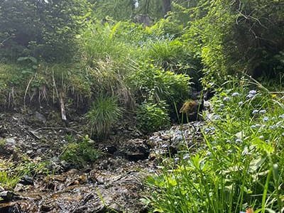 Bild 253 aus Neuwirth Hütte